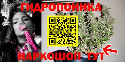 стафф Владикавказ